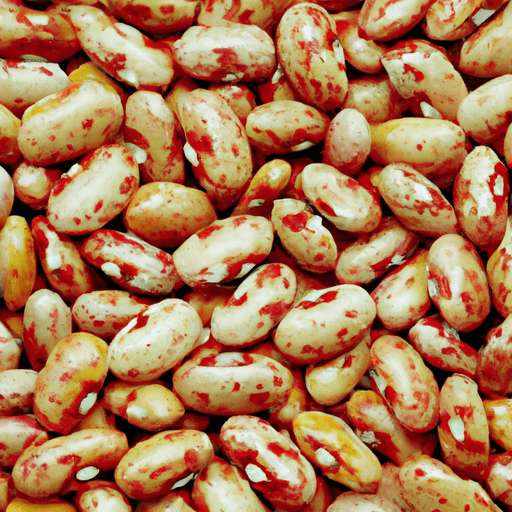 Dried corona beans