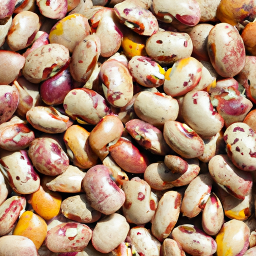 Dried great northern beans