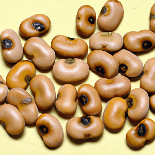 Dried fava beans