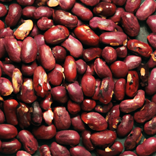Dried cranberry beans