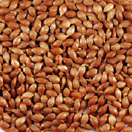 Charoli seeds