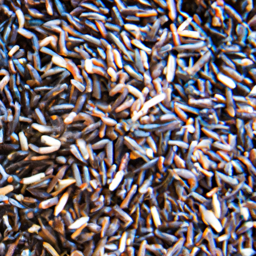 Cooked black rice
