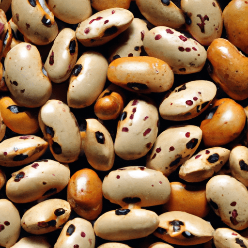 Dried navy beans