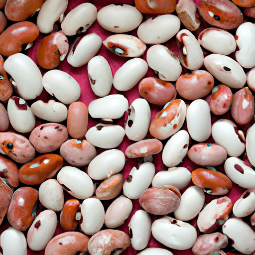 Dried baby lima beans