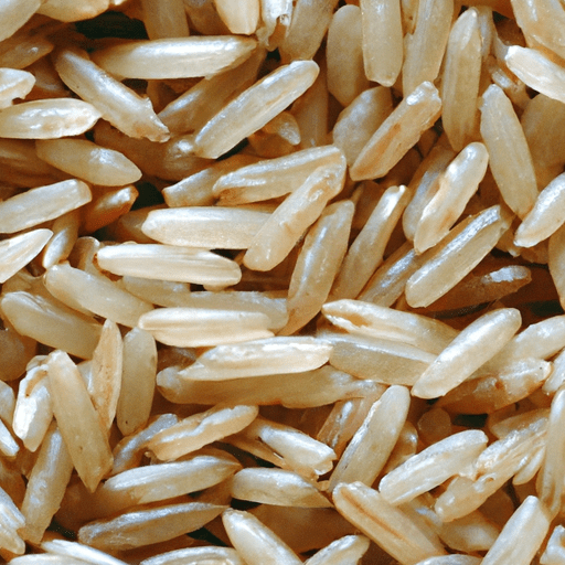 Short grain brown rice