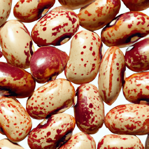 Dried borlotti beans
