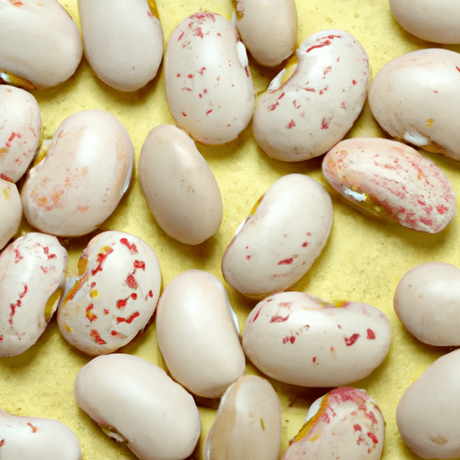 Dried lima beans