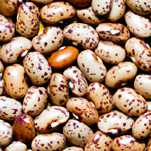Dried pinto beans